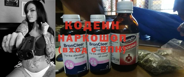 сатива Баксан