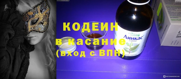 индика Протвино