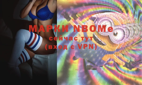 сатива Баксан