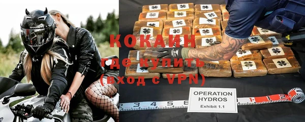 сатива Баксан