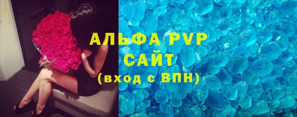 сатива Баксан