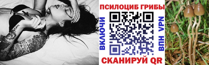 Псилоцибиновые грибы ЛСД  где можно купить наркотик  MEGA онион  Коммунар 